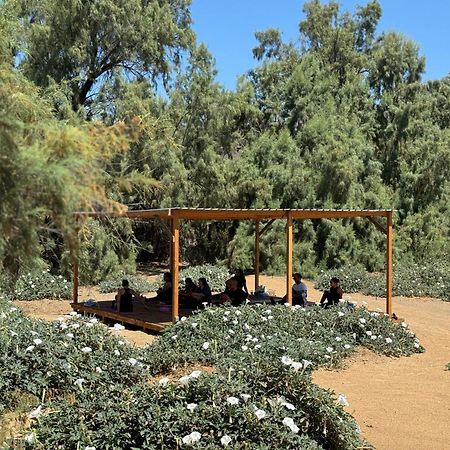 Rancho Dominique Valle De Guadalupe Exteriör bild