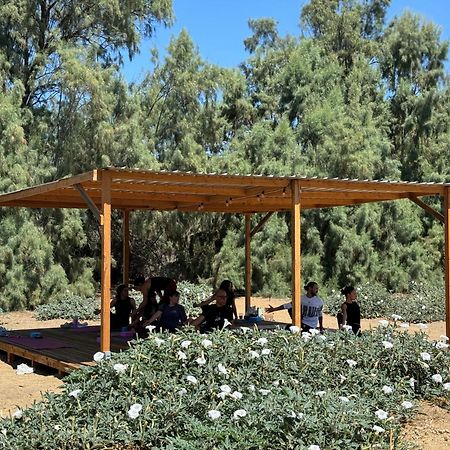 Rancho Dominique Valle De Guadalupe Exteriör bild