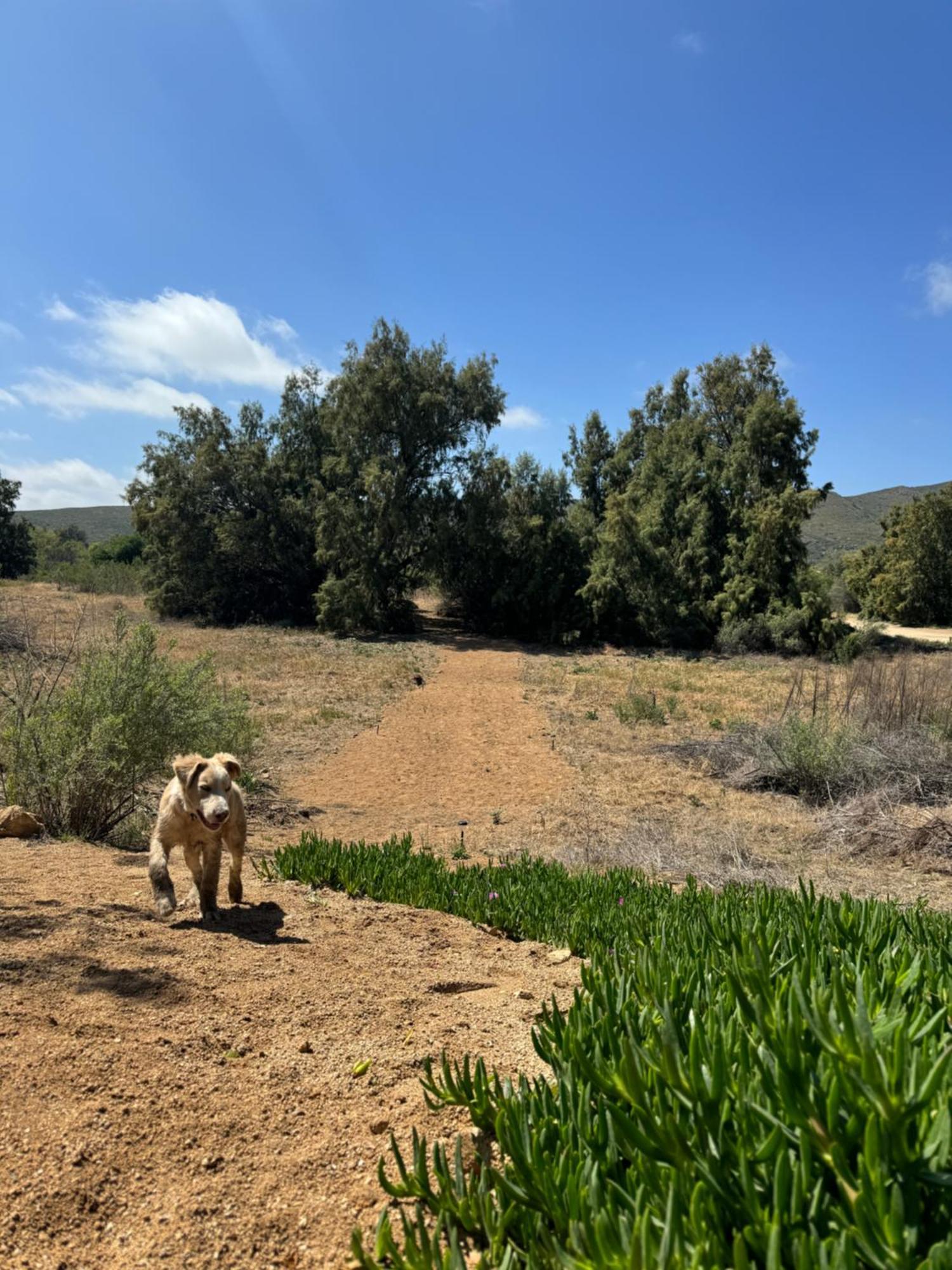 Rancho Dominique Valle De Guadalupe Exteriör bild