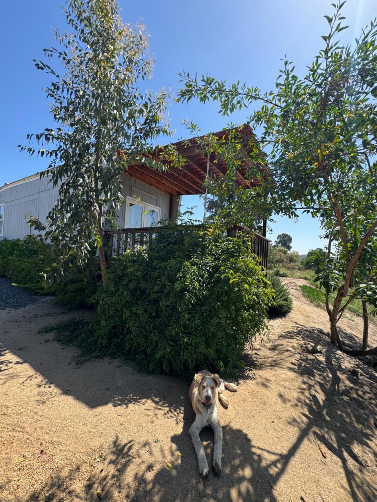 Rancho Dominique Valle De Guadalupe Exteriör bild