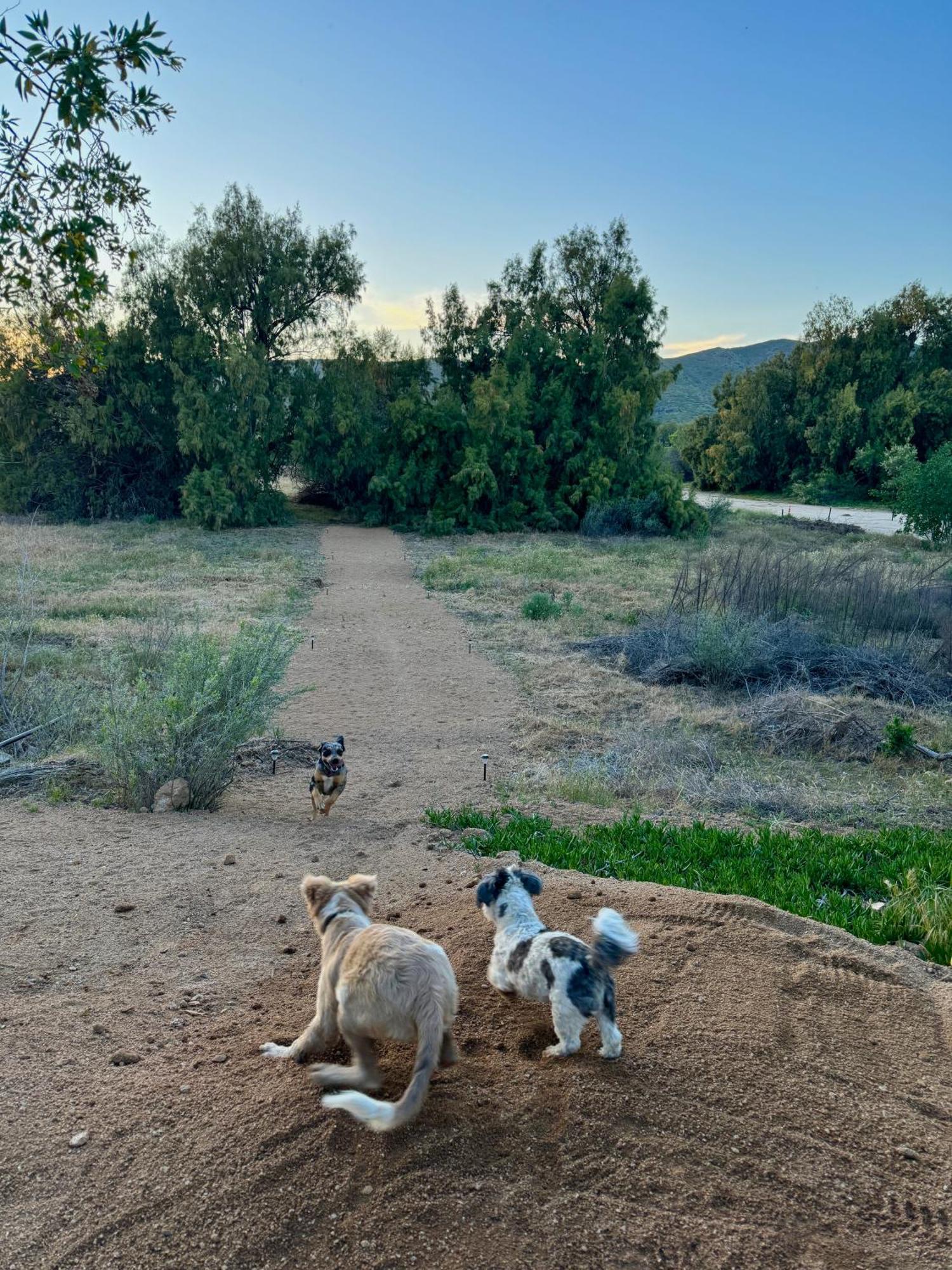 Rancho Dominique Valle De Guadalupe Exteriör bild